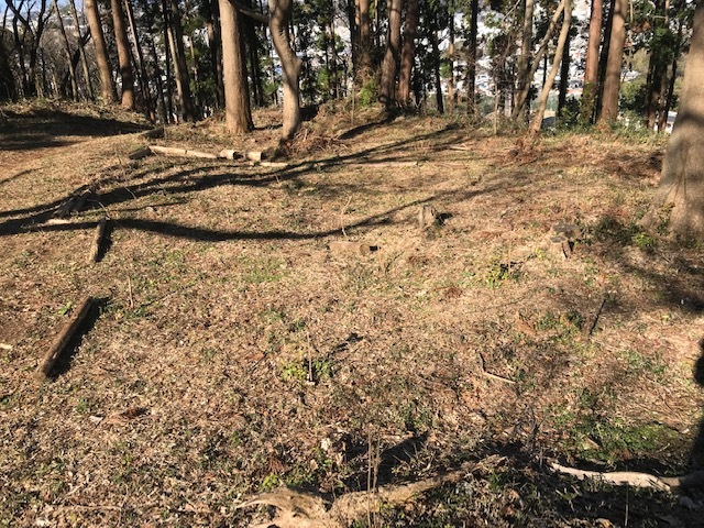 植樹したヤマアジサイの傍らにマーキング1・5_c0014967_06261348.jpg