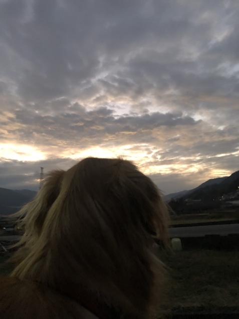 黄昏て_a0394574_17442955.jpeg