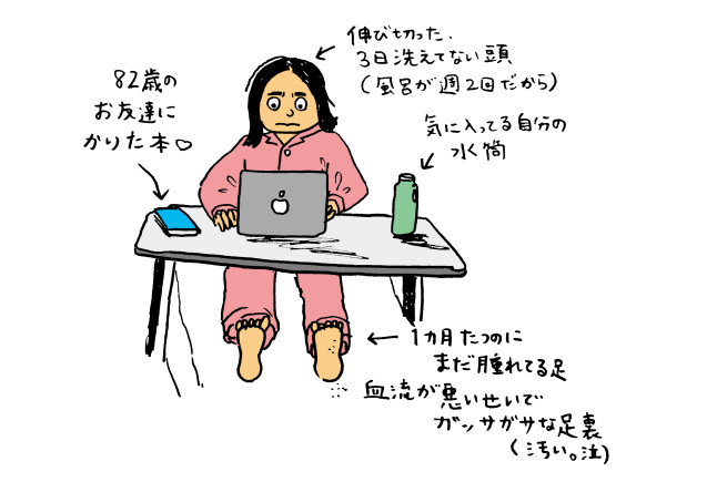 骨折日記 はじめに まりんの世界手帖 骨折日記 はじめに まりんの世界手帖