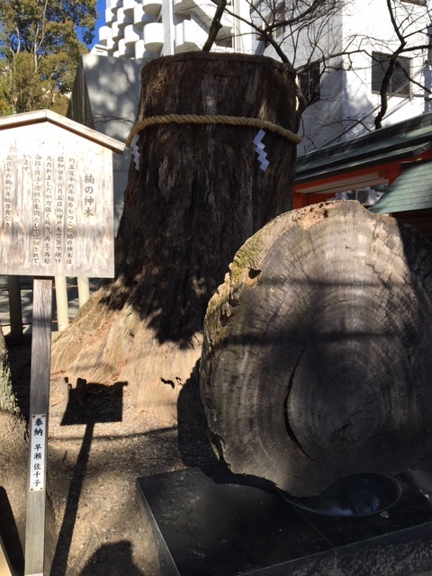 2020年「子」始まりました_a0131787_20582582.jpeg