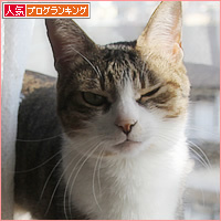 復活！！_a0389088_19533023.jpg