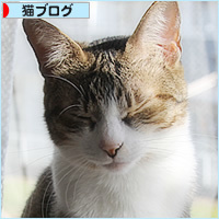 復活！！_a0389088_19533153.jpg