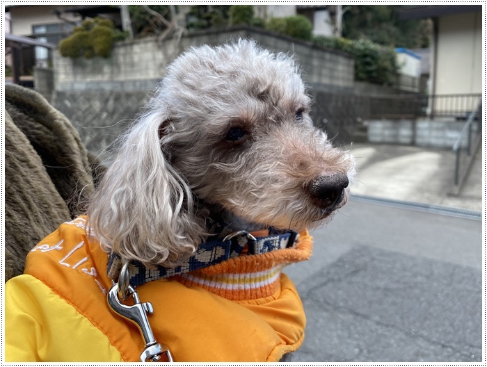 2020年、仕事始めですね、今朝は寒くて起きられない人もいたかな。。お疲れさまでした。_b0175688_20102094.jpg