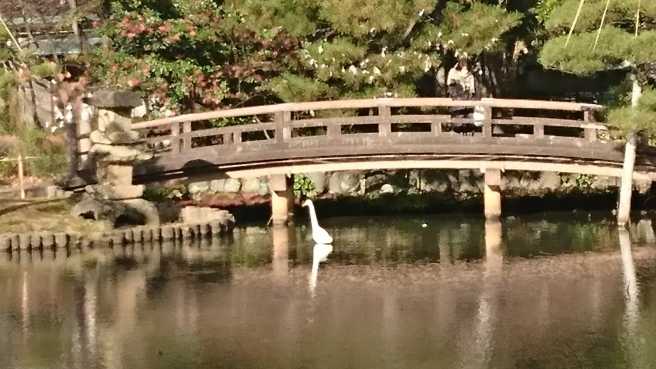 今年初めての巡礼。。_e0046190_17094934.jpg