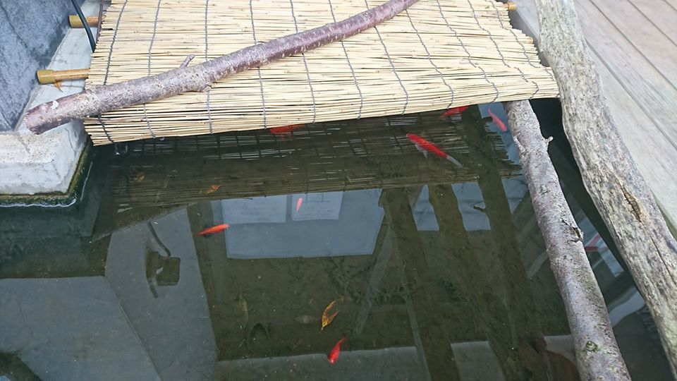 今年初めての巡礼。。_e0046190_17121346.jpg