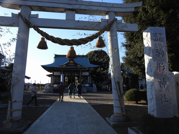 駒形神社 流山市 利根運河のビリケンさん 御朱印の森