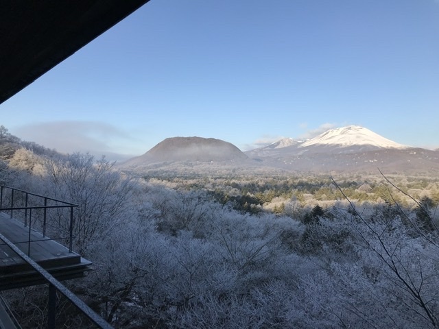 庚子 迎春_d0339896_21133078.jpeg