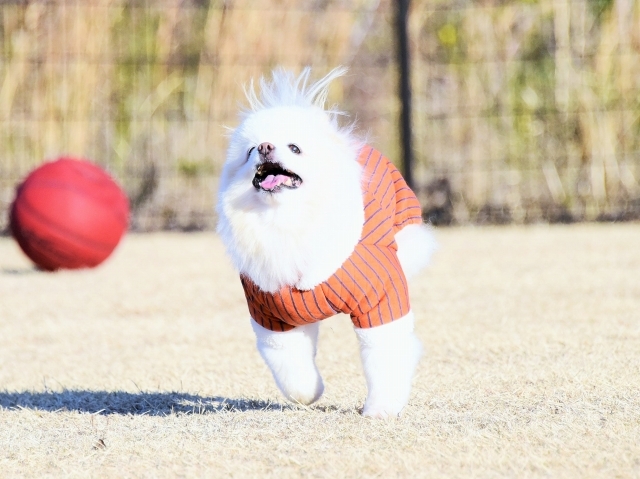 お洒落のポイント_d0360206_00073098.jpg