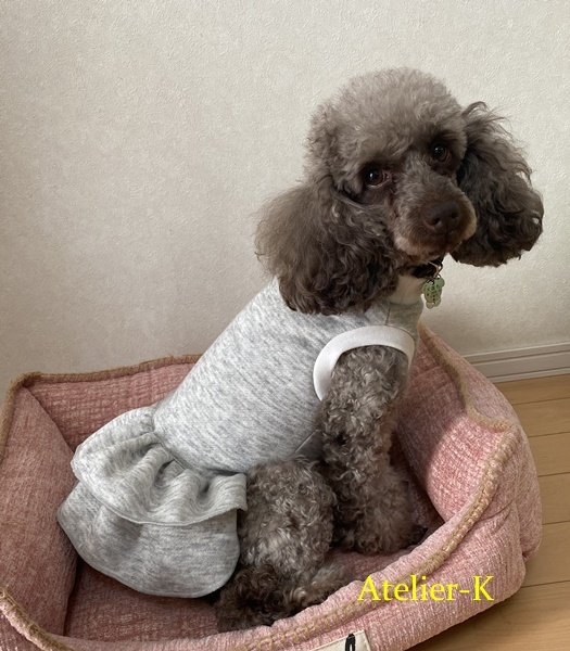 犬用ワンピース作りました 洋裁教室 アトリエ k 犬用ワンピース作りました 洋裁教室 アトリエ k