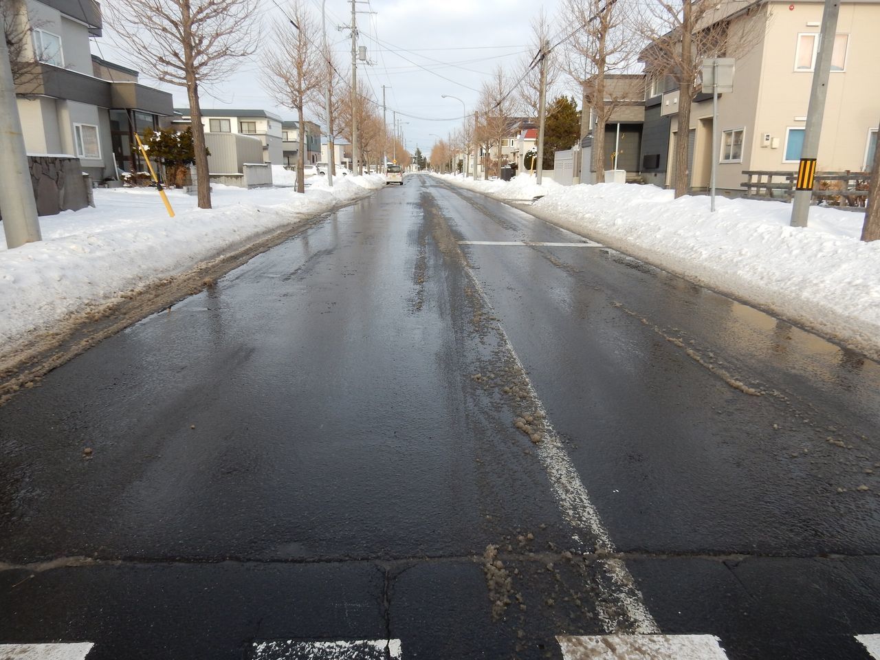 今日もプラスの気温_c0025115_22072113.jpg