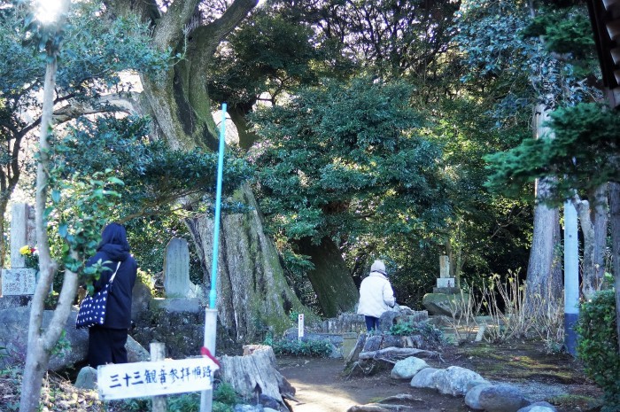 ■御朱印巡り【厚木市飯山観音 長谷寺】_b0033423_23182477.jpg