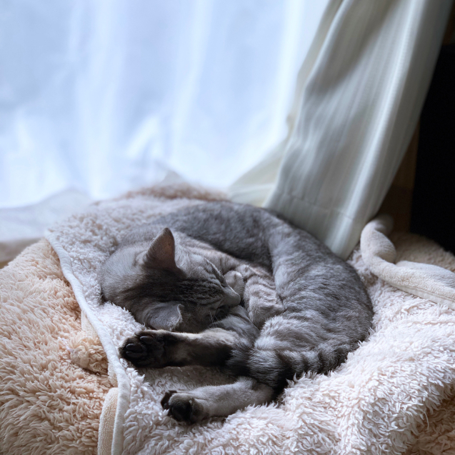 よかったなぁーって思う時_d0355333_22380120.jpg