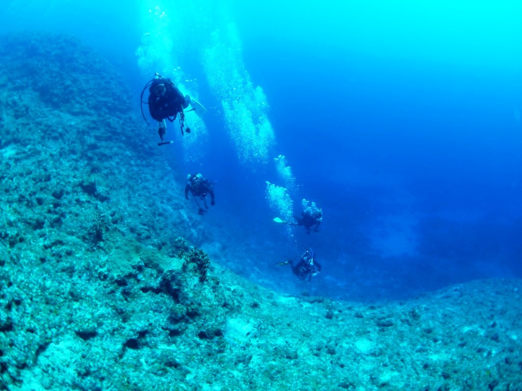 海の「ネズミ」に会えました\(^o^)/_a0189838_17004100.jpg