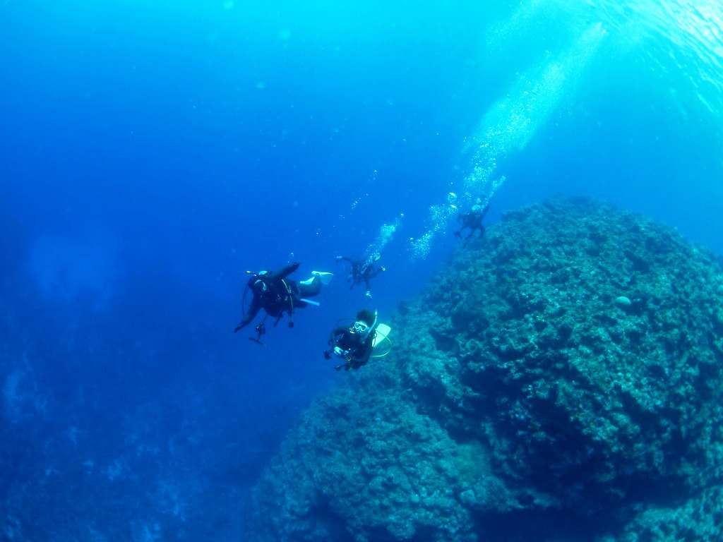 海の「ネズミ」に会えました\(^o^)/_a0189838_17014954.jpg