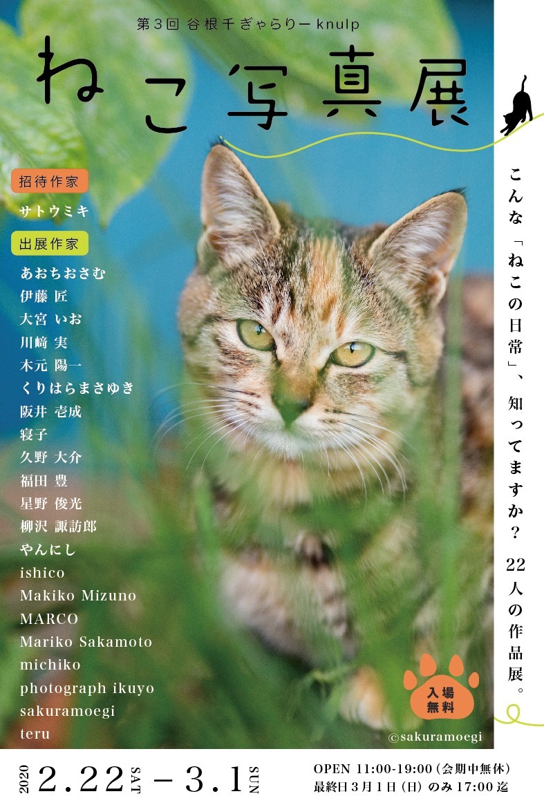 第三回ぎゃらりーKnulpねこ写真展_c0194541_17594727.jpg