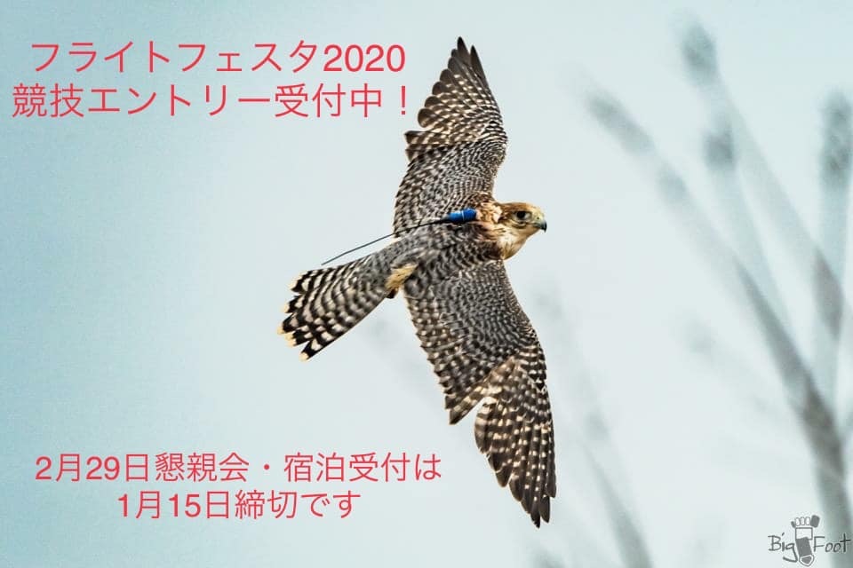 フライトフェスタ2020 「ファンアジリティ」について_c0132048_11131886.jpeg