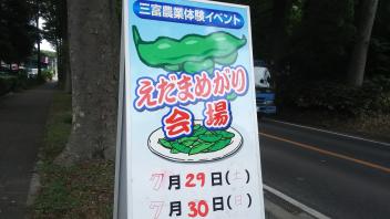 いも街道方面へ_a0394451_13270001.jpg