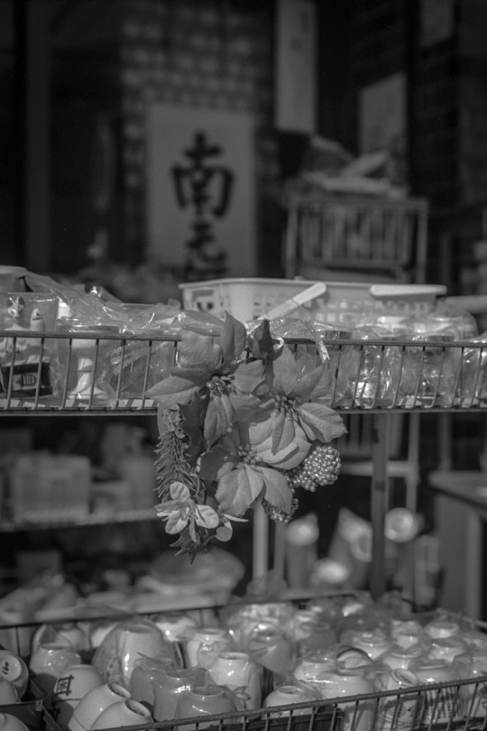 クリスマスの日の仏具店_b0175964_09292741.jpg