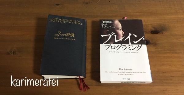 2020年の手帳とバッグ~ぶっこみ道具を手放せるように~_b0374171_16402849.jpeg