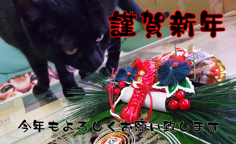 あけましておめでとうございます!_d0156981_13063447.jpg