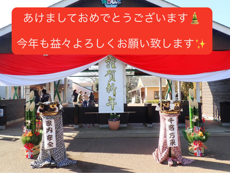 今年もどうぞよろしくお願いいたします☆彡~手作り簡単おせち料理と動物いっぱいのお正月~_e0397681_02573611.jpg