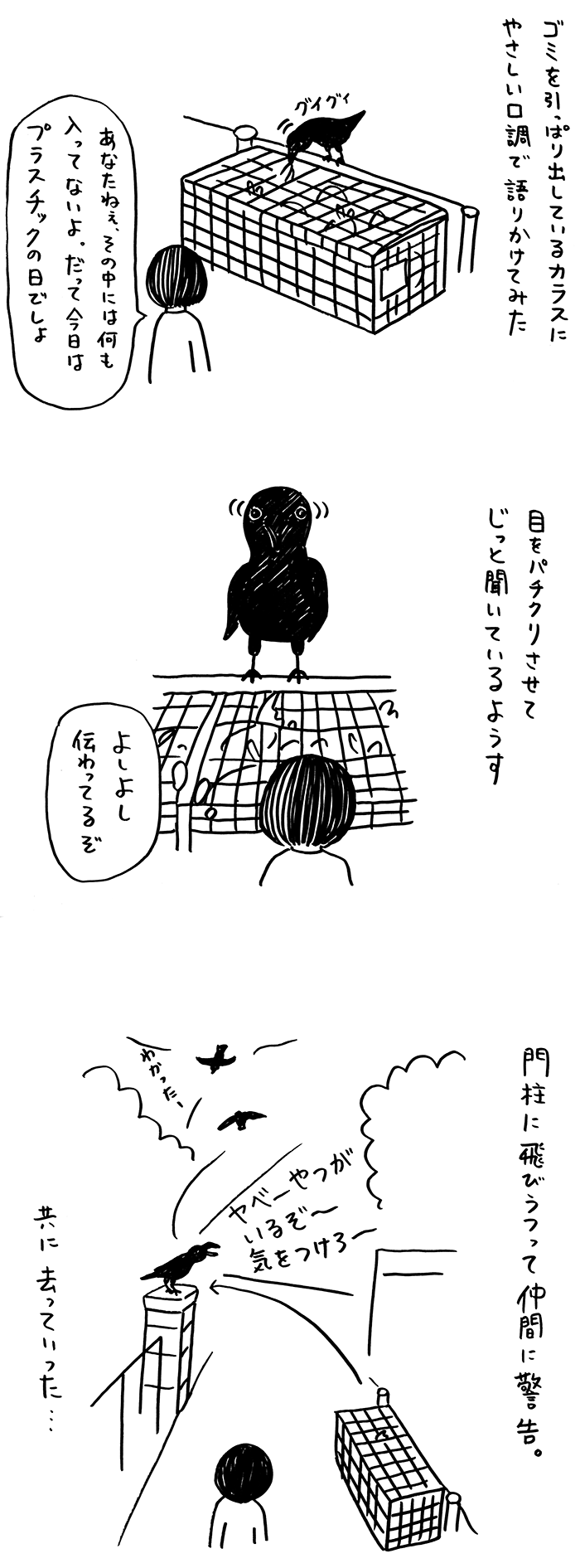 カラスと話す Biwamap