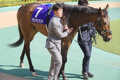 ２０１９年度ＪＲＡ賞発表、年度代表馬はＧＩ３連勝のリスグラシュー_b0015386_21584875.jpg