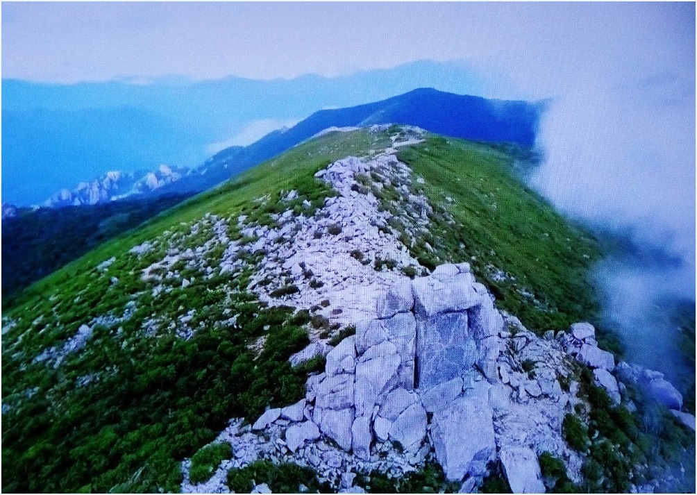 君がいた山・・・_c0352813_10122137.jpg