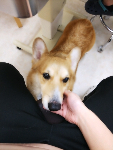 本日のサックス_e0268036_15325796.jpg