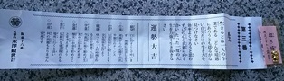 年末年始 信越北関東での車中泊の旅⑬ 4日目 水澤観音で初詣・年明けうどん・群馬舞茸センター編_b0080342_13032591.jpg