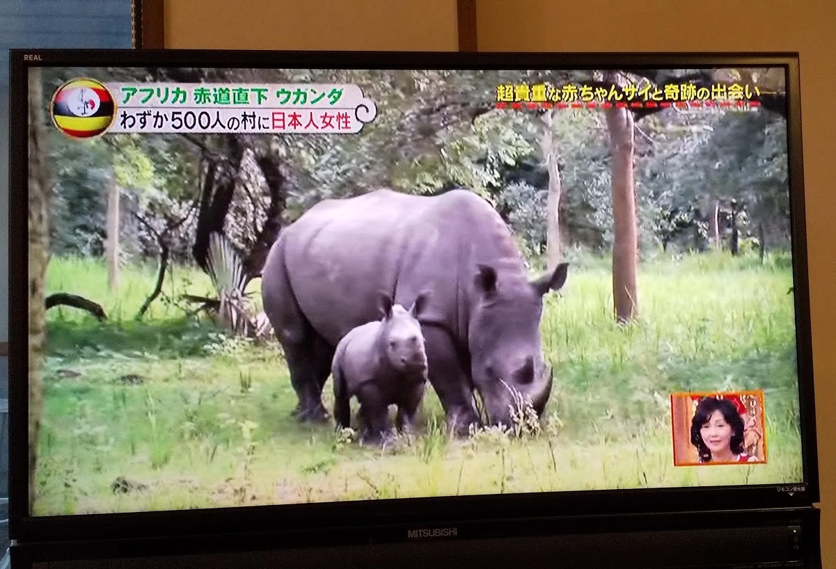 親愛なる犀たちへ