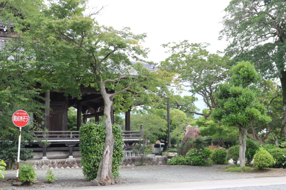 別名_c0001670_18385888.jpg