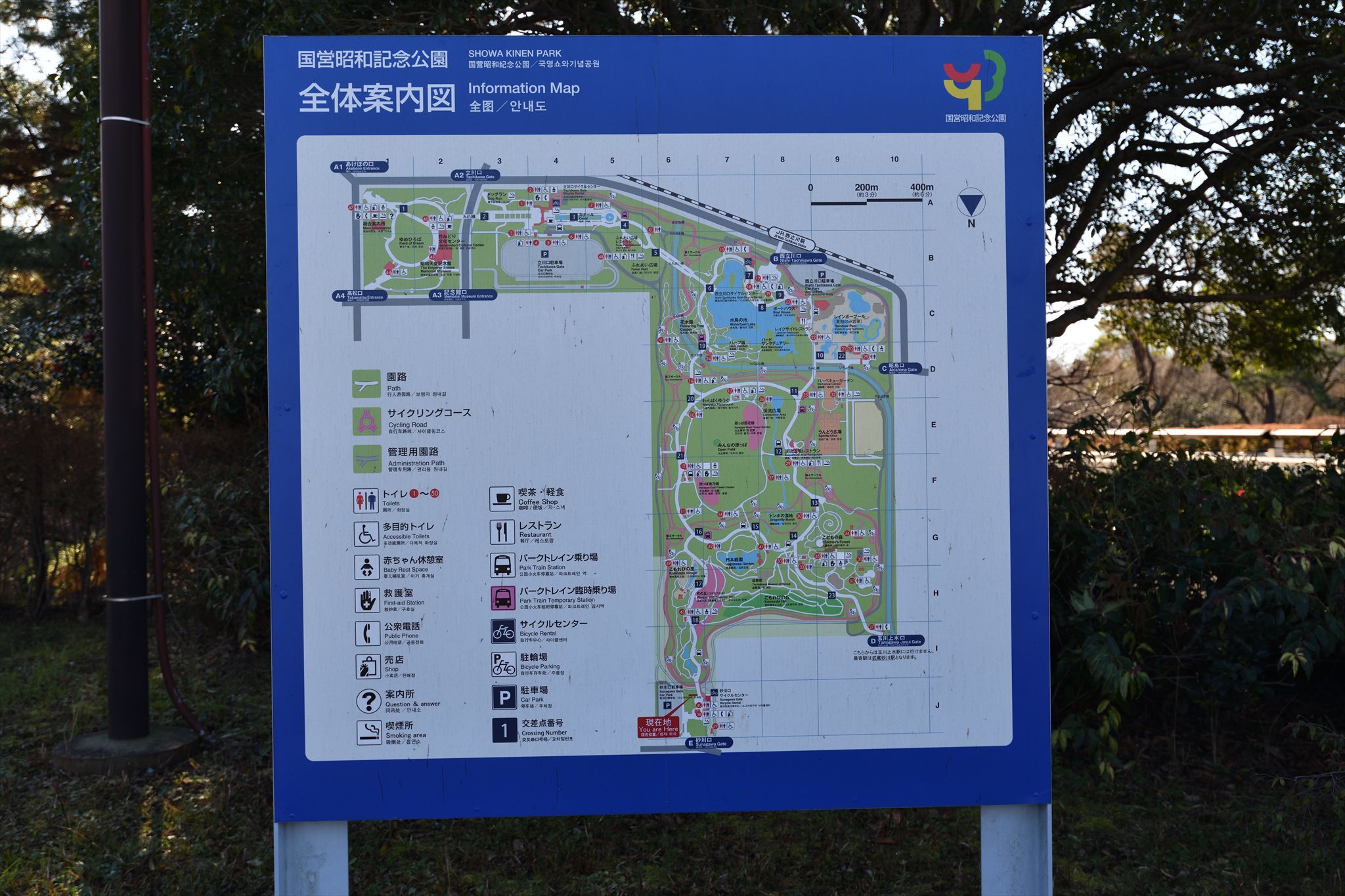 昭和記念公園 : 野の花山の花ウォッチング in 奥多摩