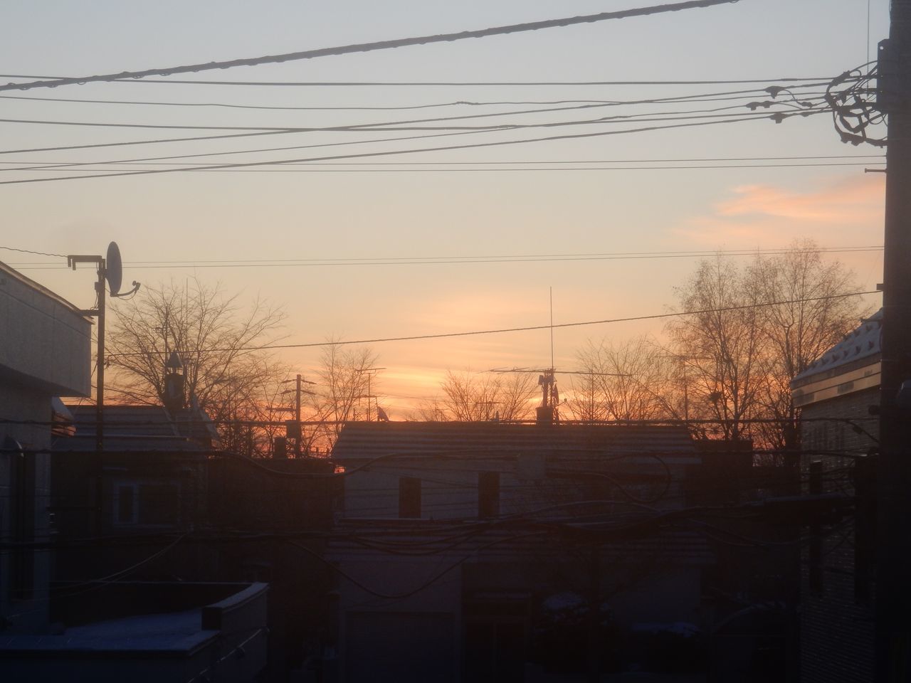明るい朝_c0025115_21360433.jpg