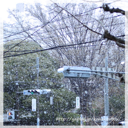 すごい雪で。_a0392423_00151007.jpg