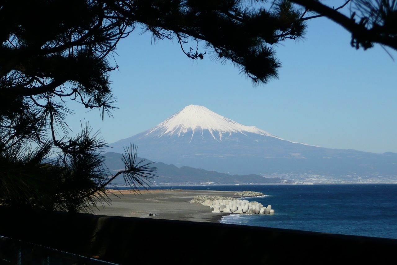 万葉集その七百七十一(常盤の松) : 万葉集遊楽 万葉集その七百七十一(常盤の松) : 万葉集遊楽