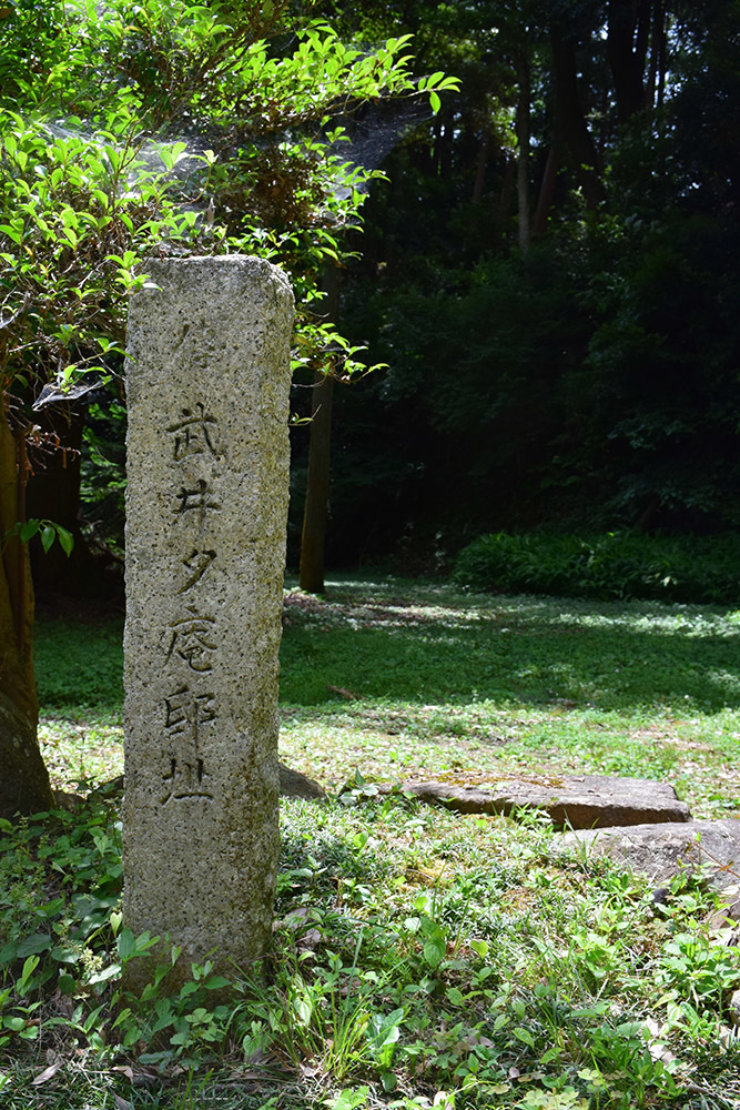 天下布武の象徴、安土城攻城記。 その5 <伝武井夕庵邸址~伝織田信忠邸址>_e0158128_16415776.jpg