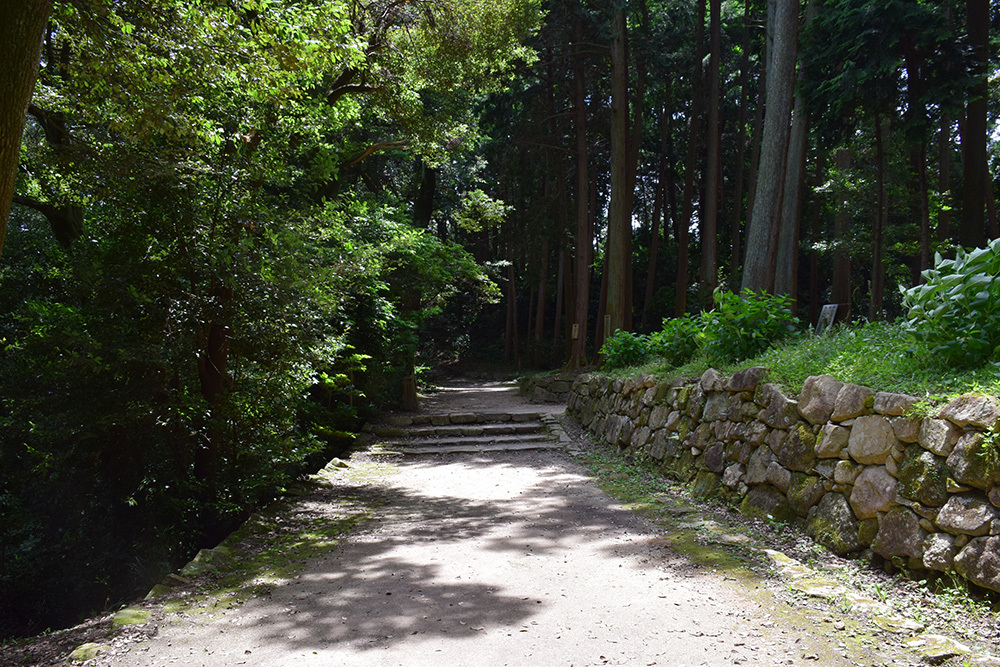 天下布武の象徴、安土城攻城記。 その5 <伝武井夕庵邸址~伝織田信忠邸址>_e0158128_16450167.jpg