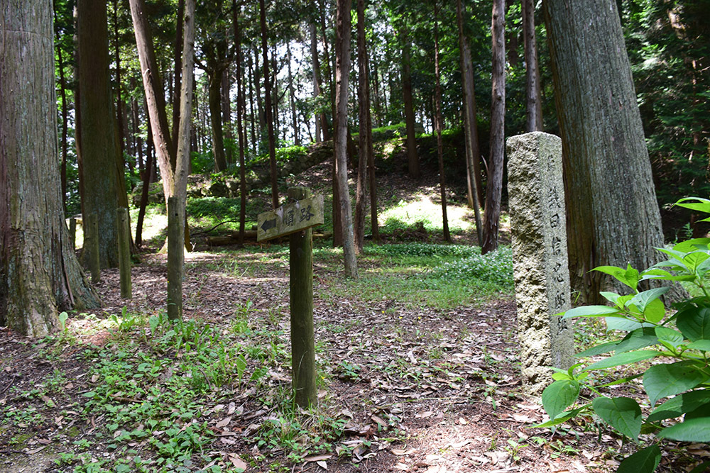 天下布武の象徴、安土城攻城記。 その5 <伝武井夕庵邸址~伝織田信忠邸址>_e0158128_16480961.jpg