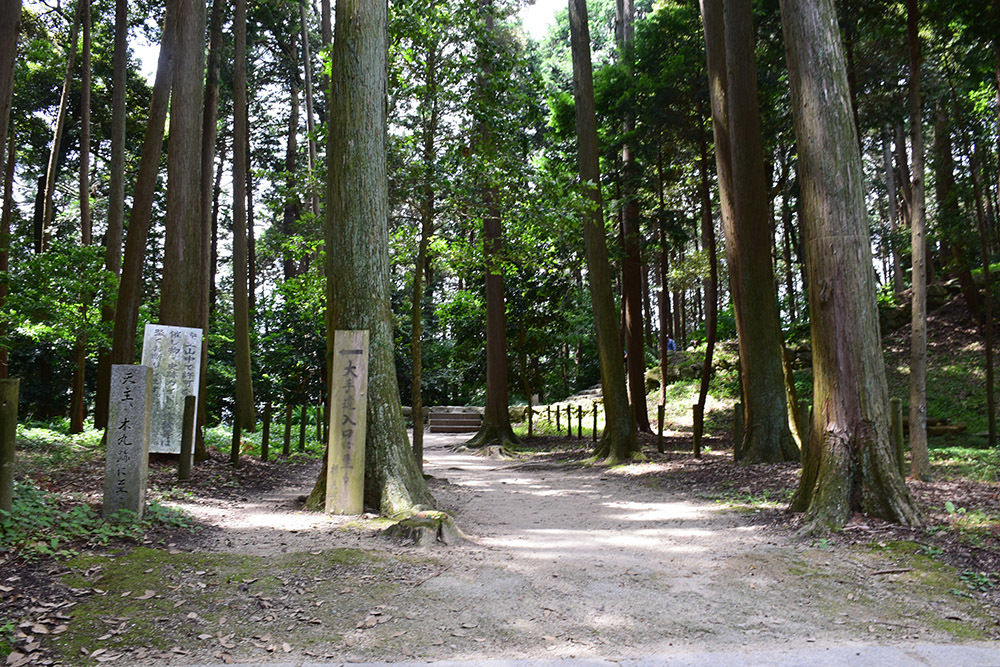 天下布武の象徴、安土城攻城記。 その5 <伝武井夕庵邸址~伝織田信忠邸址>_e0158128_16481290.jpg