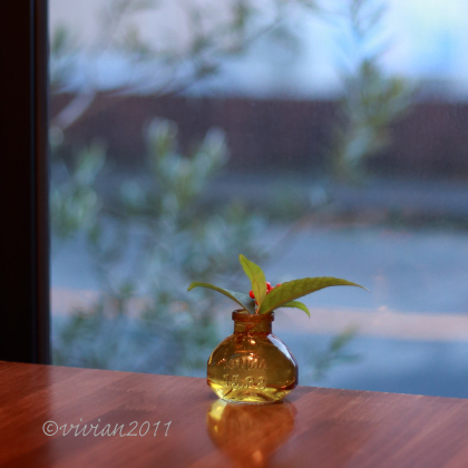 自家焙煎珈琲 かめとかめ　～2020年のカフェはじめ～_e0227942_22114494.jpg