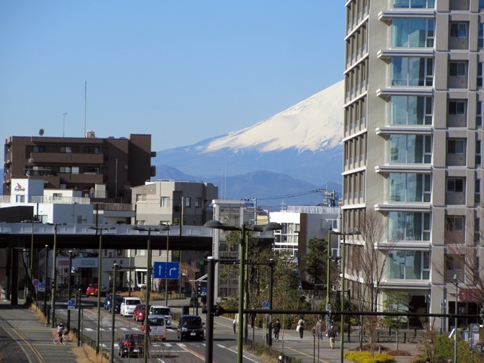 【今日のハーフ富士山とサミットストアでお買い物】唐辛子系_b0009849_16223480.jpg
