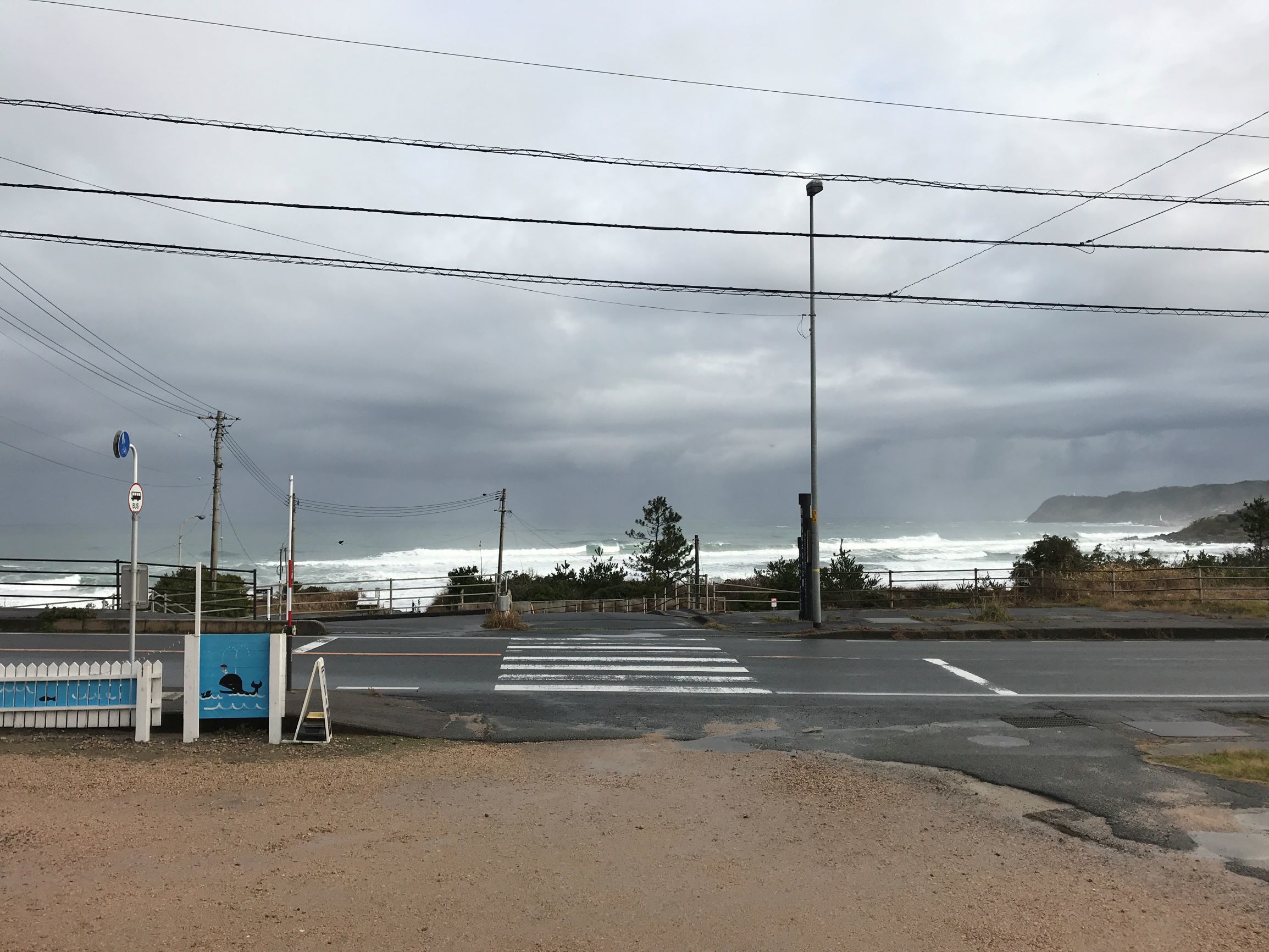 また会えるのは、お店を続けているから。_f0009169_10024271.jpg