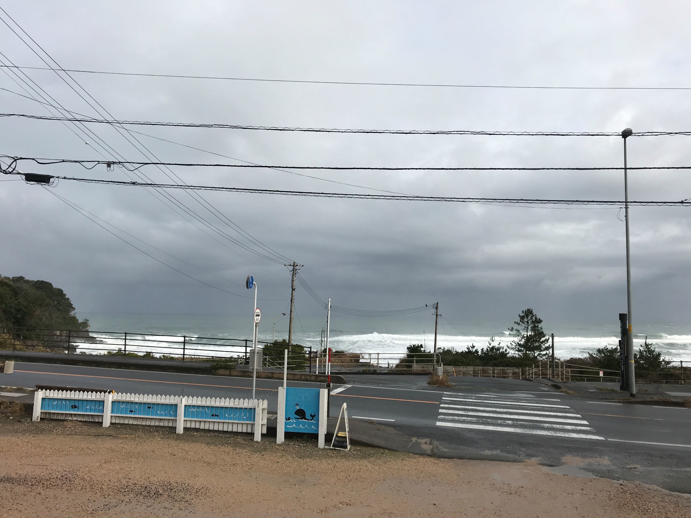 また会えるのは、お店を続けているから。_f0009169_10030744.jpg