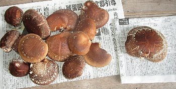 1月8日「ビッグワン」_f0003283_07355066.jpg