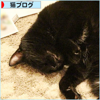 猫に来る年賀状は?_a0389088_18431227.jpg