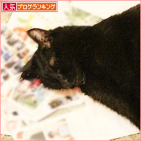 猫に来る年賀状は?_a0389088_18431249.jpg