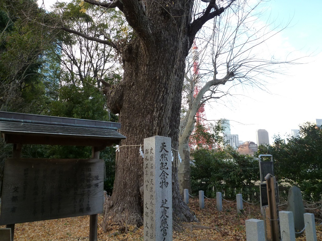 歴史に翻弄された人工島「晴海」&増上寺(初詣)_c0187899_16051362.jpg