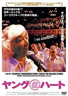 今年は最高の滑り出し。_d0096499_08425975.jpg