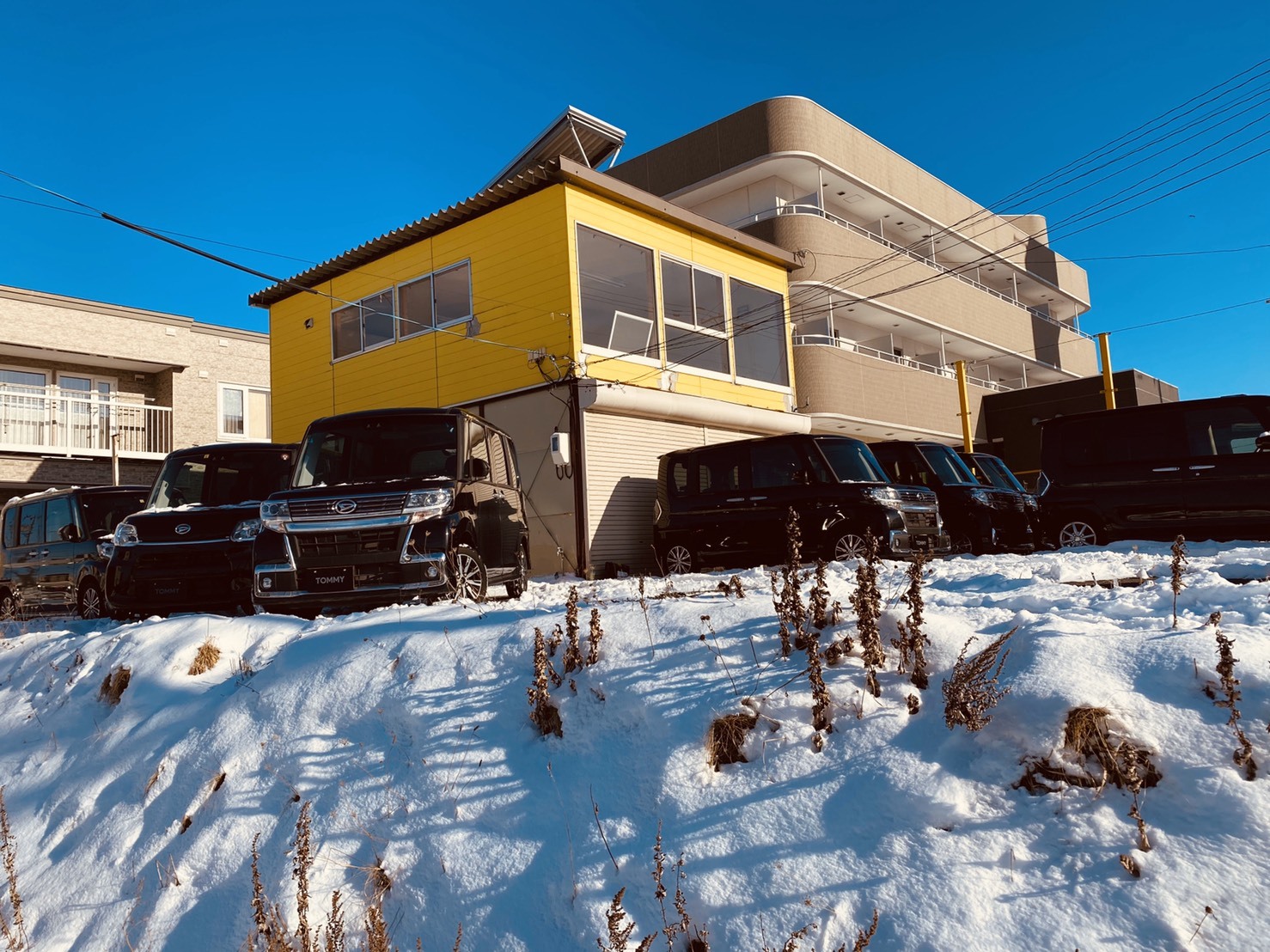1月10日(金)本店ブログ♪ タントのことならお任せ下さい♡ ランクル ハマー アルファード_b0127002_17541855.jpg